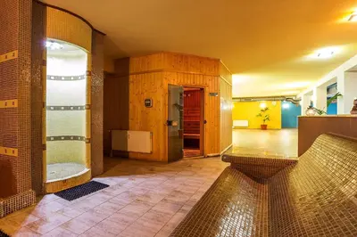 a bathroom with a shower and a toilet in it at Forest Dreams in Pamporovo