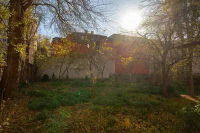 a garden with trees and the sun in the background at Luxury Studios in Top Center in Sofia