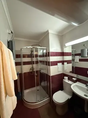 a bathroom with a shower and a toilet and a sink at Pamporovo Grand Monastery Apartment in Pamporovo