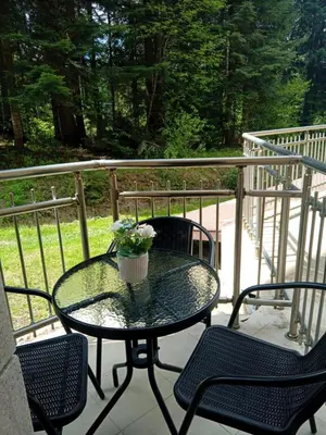 a table with a vase of flowers on a balcony at STUDIO B&K in FLORA BOROVETS in Borovets