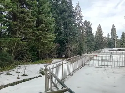 a bridge in the snow with trees in the background at STUDIO B&K in FLORA BOROVETS in Borovets