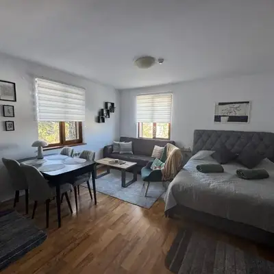 Mountain view Lux Apartment