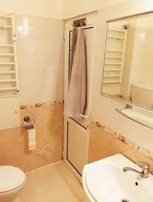 a bathroom with a shower and a sink and a toilet at Apartment Sofia top center in Sofia