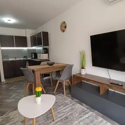 Ski cosy apartment 5