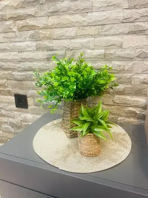 two plants in baskets sitting on top of a table at Апартамент Гончеви in Velingrad