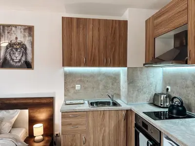 a kitchen with a sink and a lion picture on the wall at Pirin Apartament in Bansko