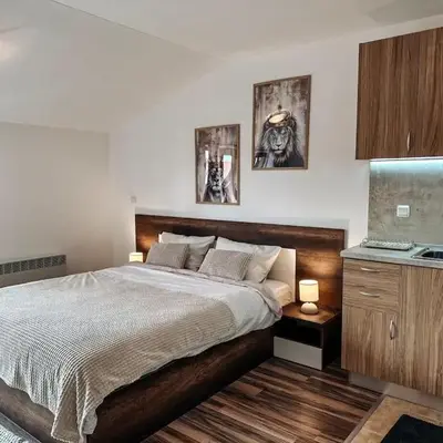 Pirin Apartament