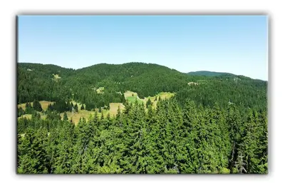an image of a mountain with trees in the foreground at Grand Studio B27 in Pamporovo
