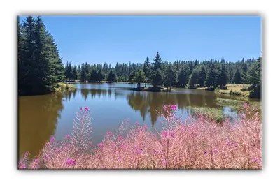 a lake with pink flowers in front of it at Grand Studio B27 in Pamporovo