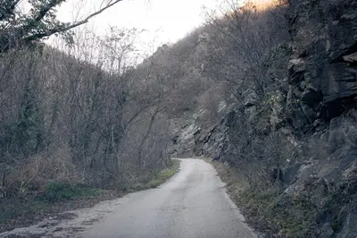 a dirt road with trees on the side of a mountain at Къща за гости 'Кадийца' in Sushitsa