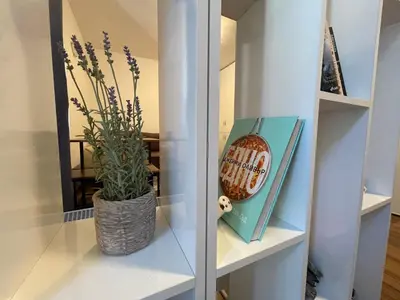 a vase with a plant on a shelf with a mirror at Montepinar Apartment Grand Resort Pamporovo in Pamporovo