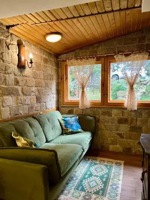 a living room with a green couch and two windows at Вила Рози, Семково in Semkovo