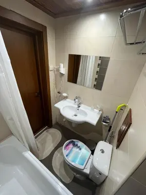 a bathroom with a toilet and a sink at Zweizimmerwohnung mit Bergblick in Bansko