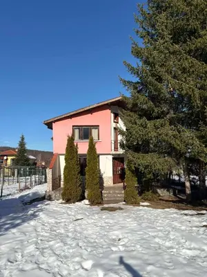 a pink house with a tree in the snow at BoroVille in Raduil