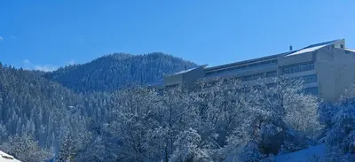 a building on the side of a mountain with trees at Rhodopski Apartment in Chepelare
