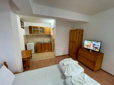 a living room with a bed and a kitchen at Вила Стряма in Hisarya