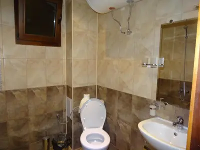 a bathroom with a toilet and a sink at Ognyanovata Guest House in Dobărsko