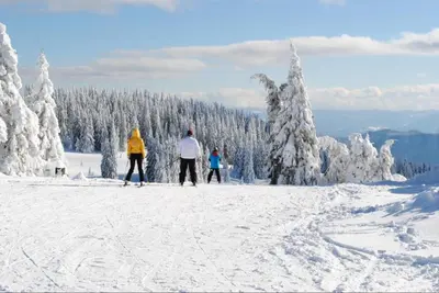 a group of people on skis in the snow at Костадинов 2 in Pamporovo