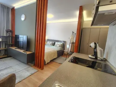 a living room with a bed and a television at Ski lift studio in Bansko