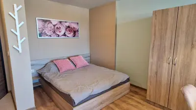 a small bedroom with a small bed with two pink pillows at Cosy n fully equipped studio in Samokov