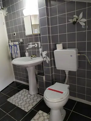 a bathroom with a toilet and a sink at Gologanova house in Kalofer