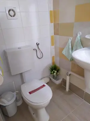 a bathroom with a toilet and a sink at Gologanova house in Kalofer