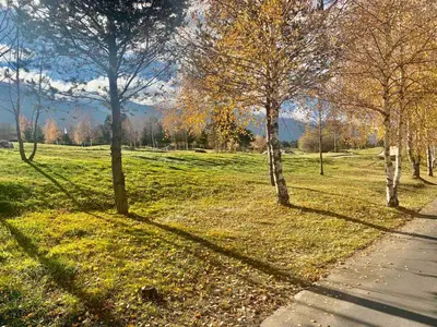 a group of trees in a field with a sidewalk at Pirin Golf View Apartment Bansko in Bansko