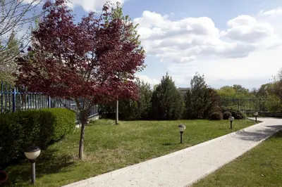 a park with a tree with red leaves and a sidewalk at Spa Villa Crystal in Hisarya