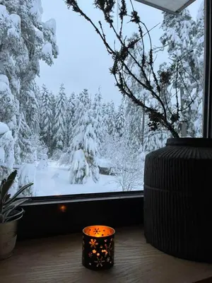 a window with a view of a snow covered forest at Rila Mountain Design Studio, Borovets, Shiroka poliana 216 in Borovets