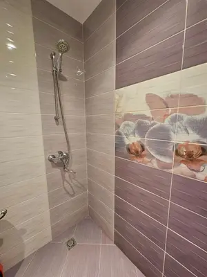 a bathroom with a shower with a painting on the wall at City Center Park Apartment in Sofia