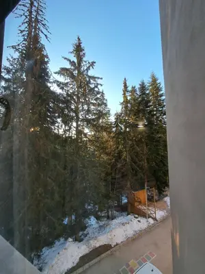 a window with a view of a forest of trees at ВасиленаАпарт in Pamporovo