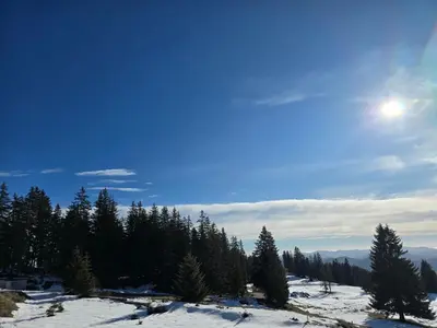 a view of a snow covered mountain with trees at Pampo-Heaven in Smolyan