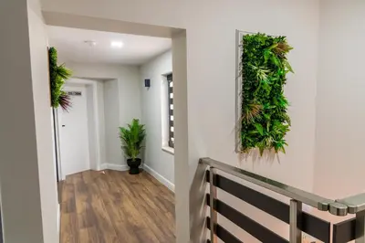 a hallway with green plants on the wall at Семеен Хотел Олимп in Sopot