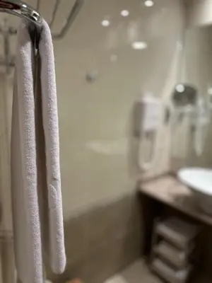 a bathroom with white towels hanging from a shower at Daniel's Suite - 4 Season apartment in Bansko