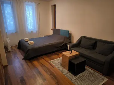 a living room with a bed and a couch at NiSimo Apartment Grand Resort Pamporovo in Pamporovo