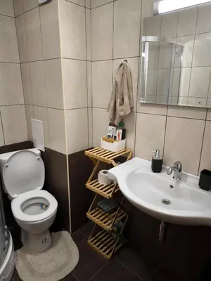a bathroom with a sink and a toilet and a mirror at NiSimo Apartment Grand Resort Pamporovo in Pamporovo