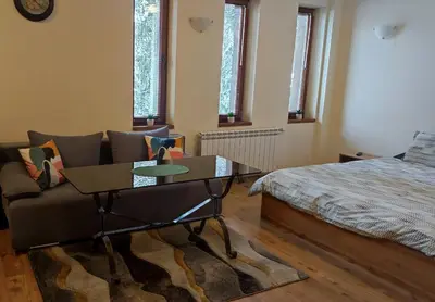 a living room with a couch and a coffee table at Grand Studio A1 in Pamporovo
