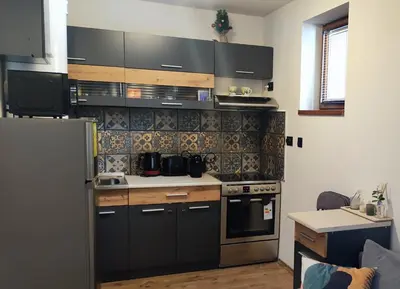 a kitchen with a stove and a refrigerator at Grand Studio A1 in Pamporovo