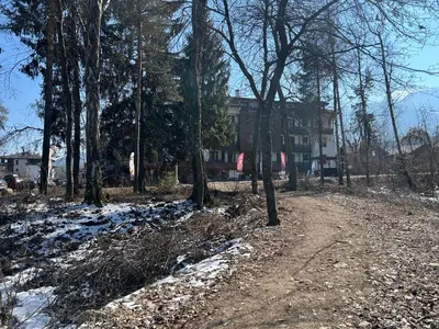 a dirt road in front of a house with trees at Ski-in Flat Next to Ski Road at Mountain View in Bansko
