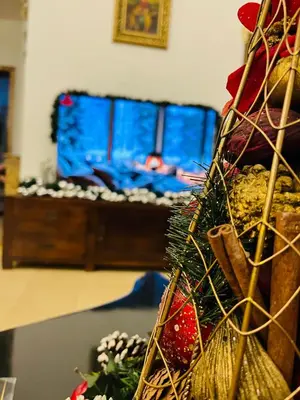 a room with a bed and a christmas tree at Vintage H&R St Anna in Sofia
