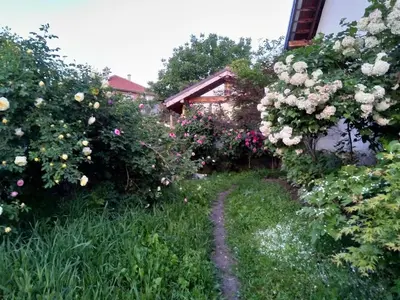 a garden with pink and white flowers and a house at Харизма in Hisarya