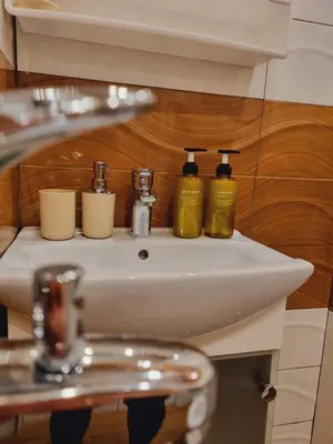 a bathroom sink with two soap bottles on it at Slavveykovs Apartment in Sofia