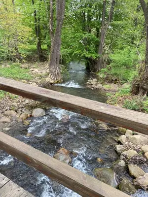 a wooden bridge over a stream in a forest at VILLA INBAR - Village house on the river in Boykovets