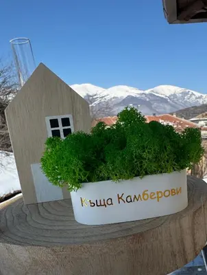 a flower pot with a small house in it at Kamberovi house Kalofer Къща Камберови Калофер in Kalofer
