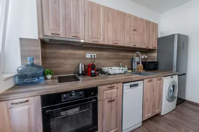 a kitchen with wooden cabinets and a sink and a dishwasher at Vitoshka Inn - R3 in Sofia