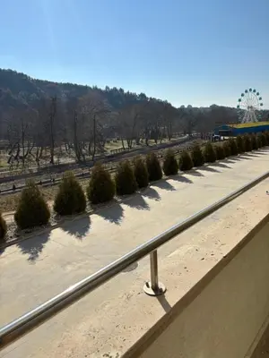 a road with a row of bushes on it at Luxury Park Villa in Sandanski