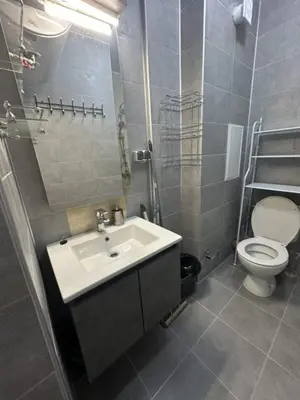 a bathroom with a sink and a toilet at Mirror Residenced & private parking in Sofia