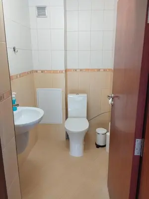 a small bathroom with a toilet and a sink at ADVENTURE apartments Trigrad in Trigrad