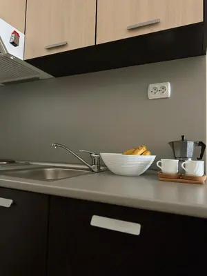 a kitchen counter with a sink and a bowl of bananas at Gardenia Apartment Pamporovo in Pamporovo
