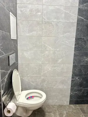 a bathroom with a toilet and a tiled wall at Rea Elita - Fresh and Modern Studio in Sofia